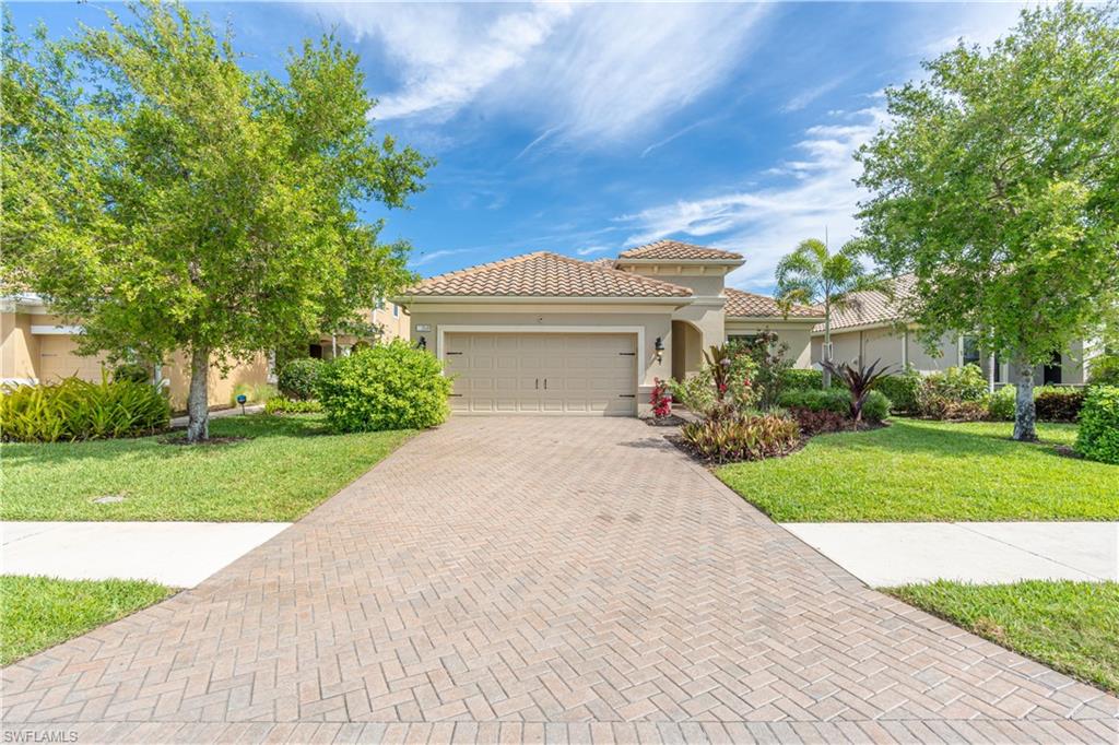 3549 Canopy CIR