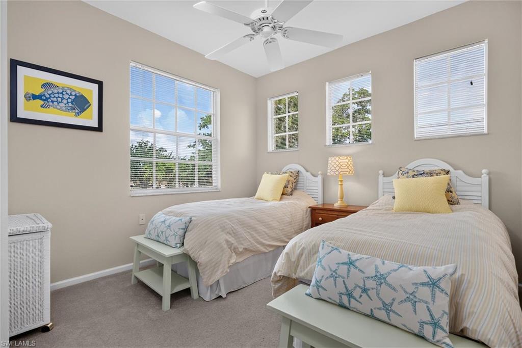 Carpeted bedroom featuring multiple windows with blinds, a white ceiling fan, and painted neutral walls