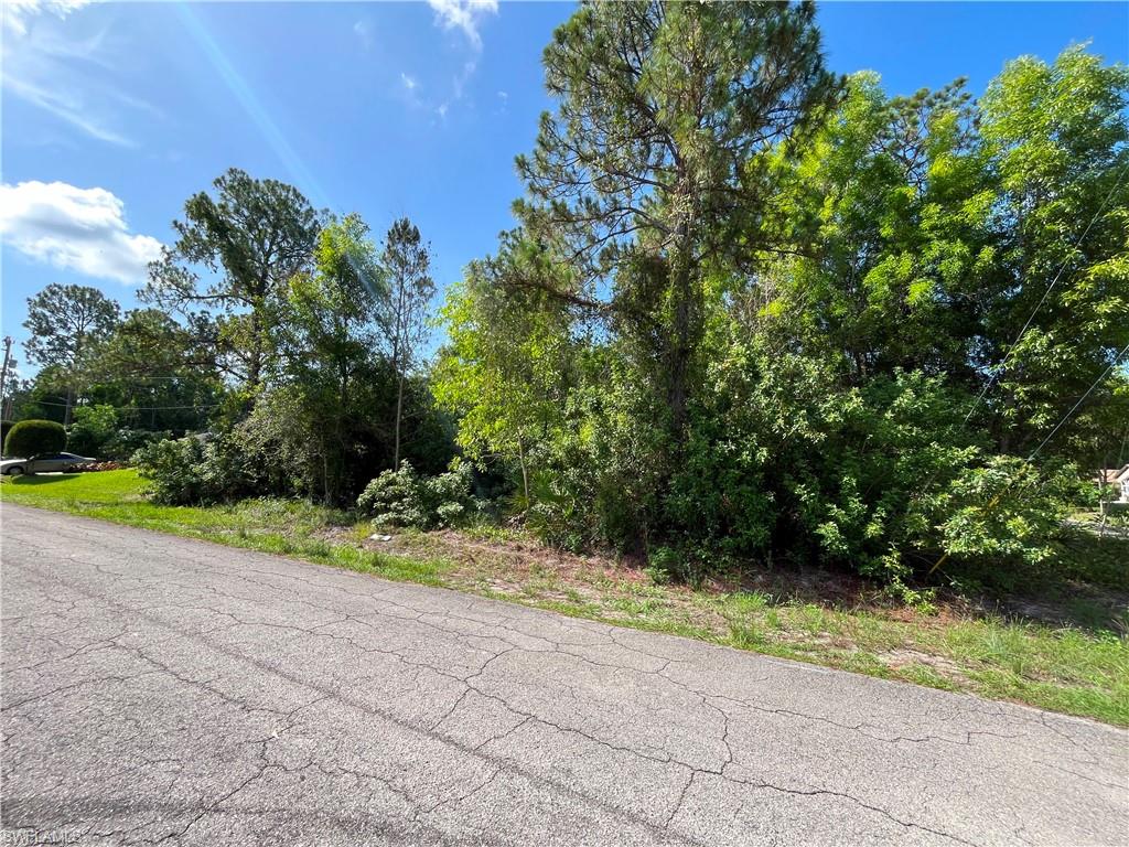 Expansive lot featuring mature trees and natural landscaping