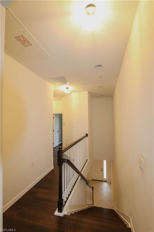 4341 Lazio WAY 1209 photo 17