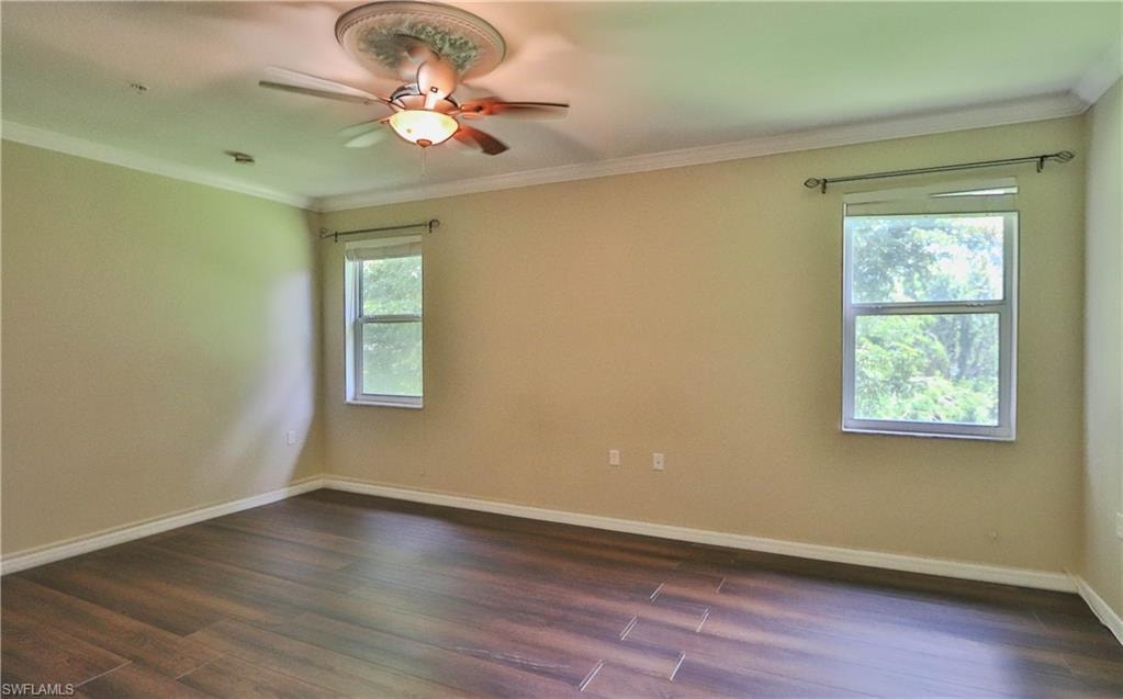 4341 Lazio WAY 1209 photo 14