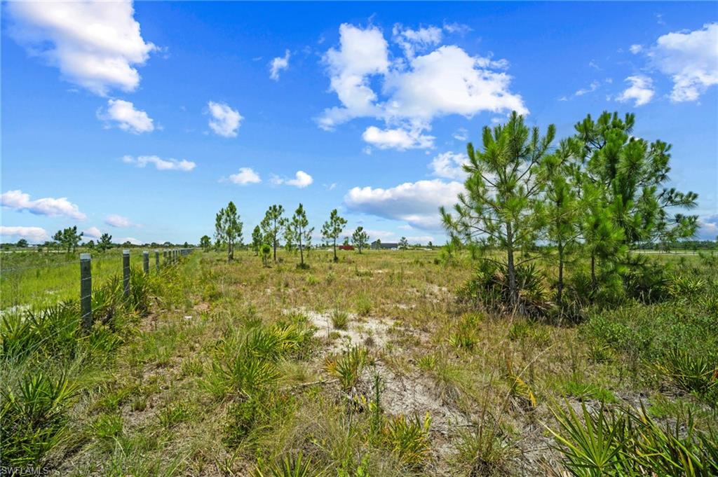 49021 Bermont RD photo 8