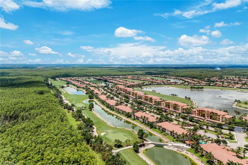 Aerial View of the Community