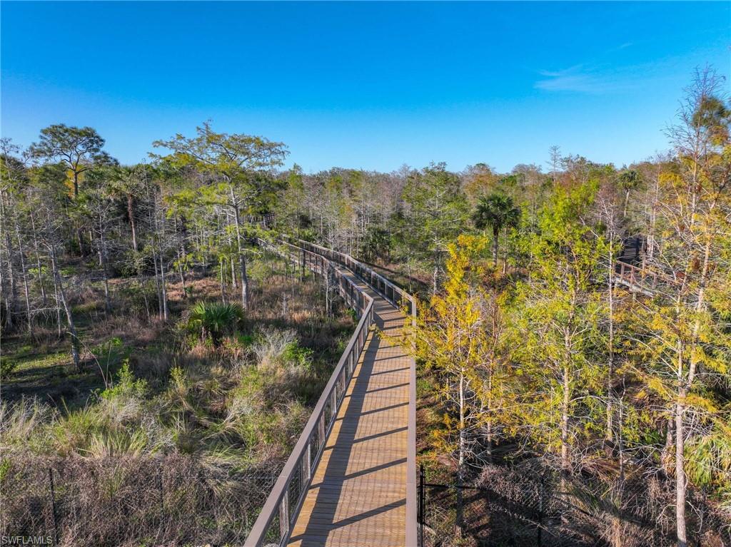 Nature boardwalk to enjoy a walk