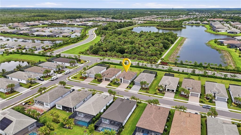 12349 Dahlia CT photo 33