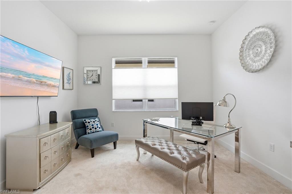 12349 Dahlia CT photo 14