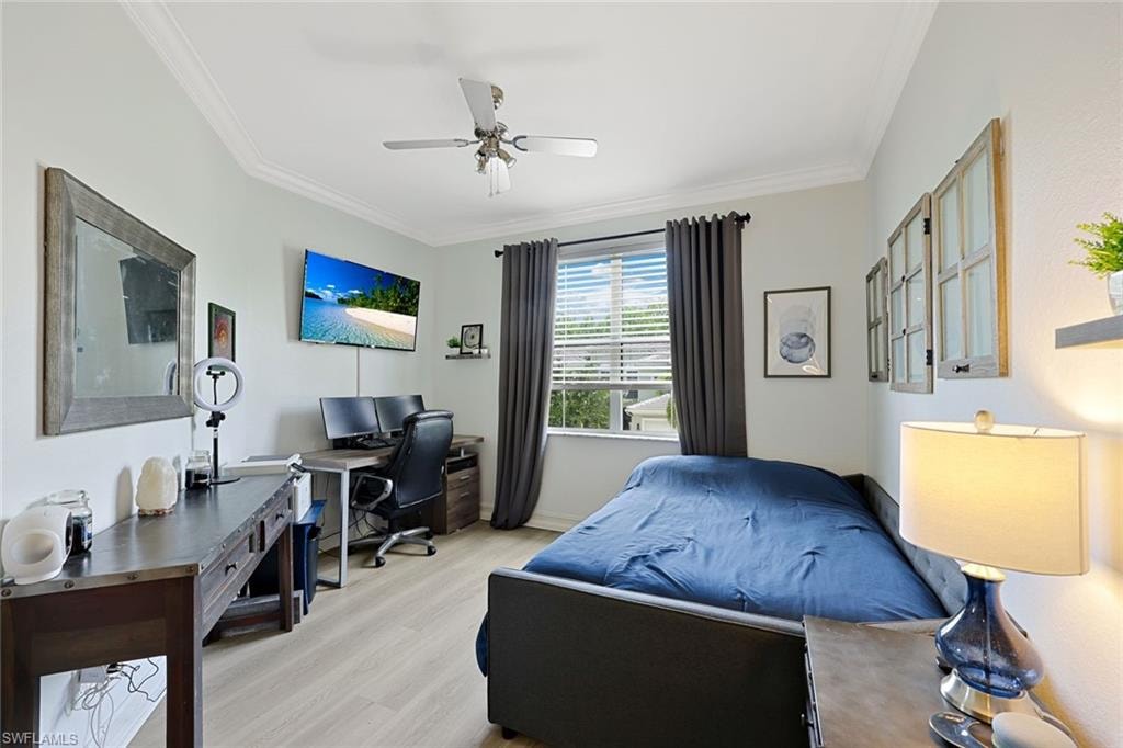 Secondary Bedroom or Office