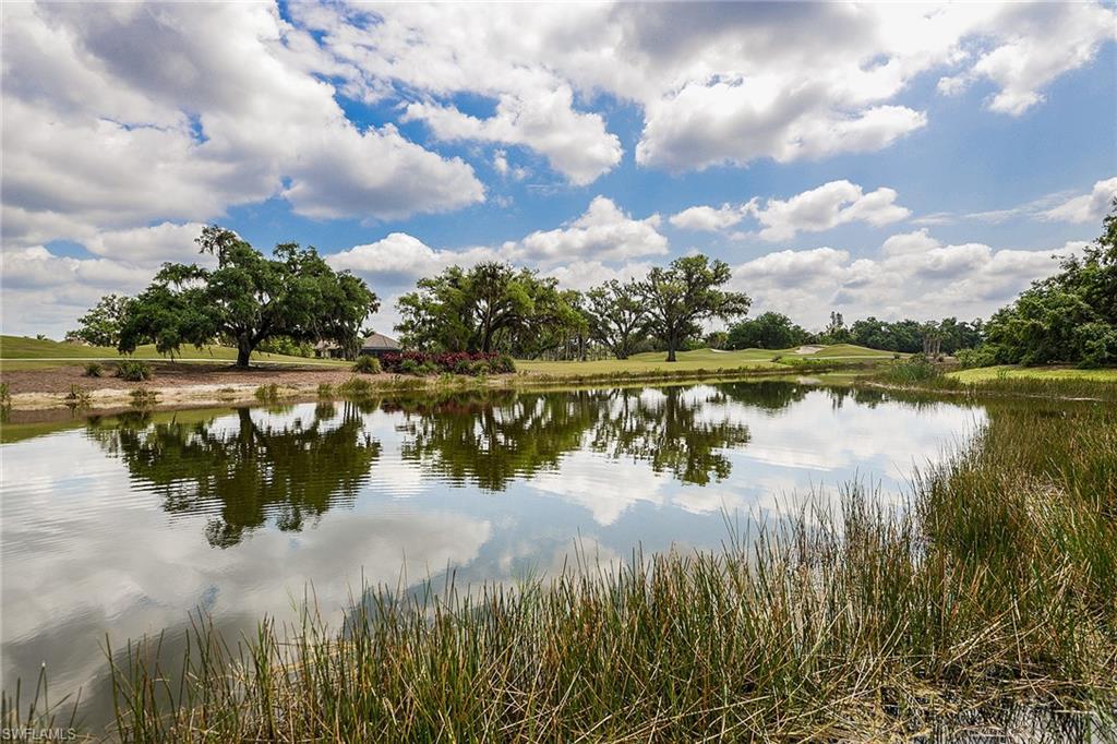 Native wetlands and moss-draped oaks reflect across one of the community's scenic lakes.
