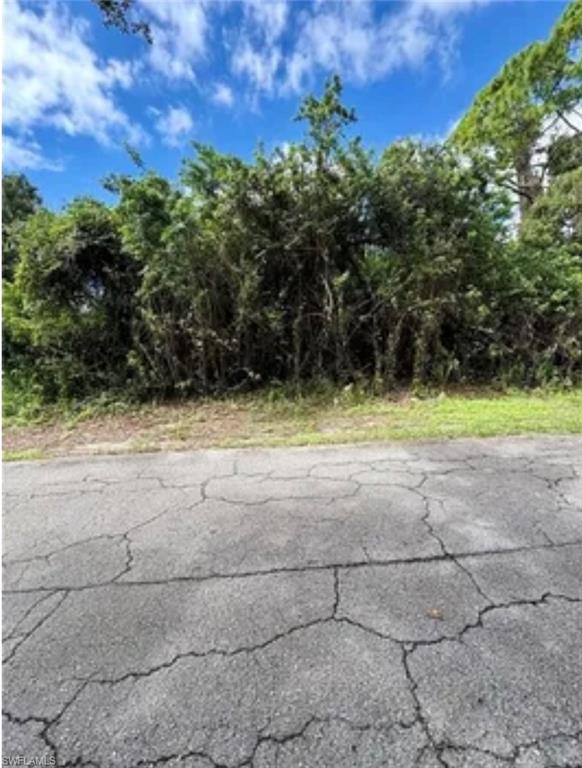321 Jackson AVE photo 8
