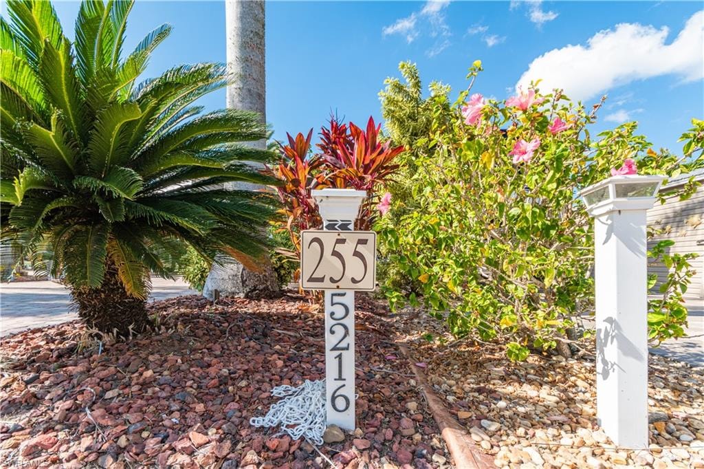 5216 Pineland Daisy TRL