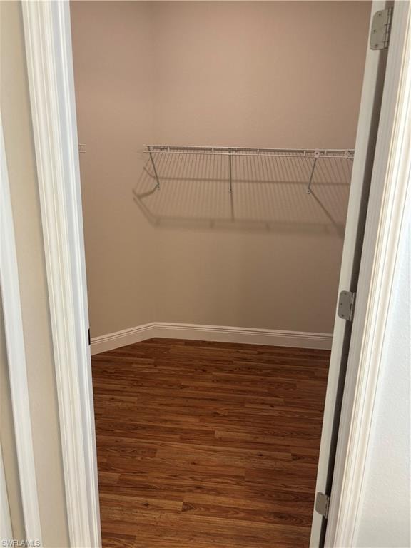 Walk in closet featuring dark hardwood / wood-style flooring