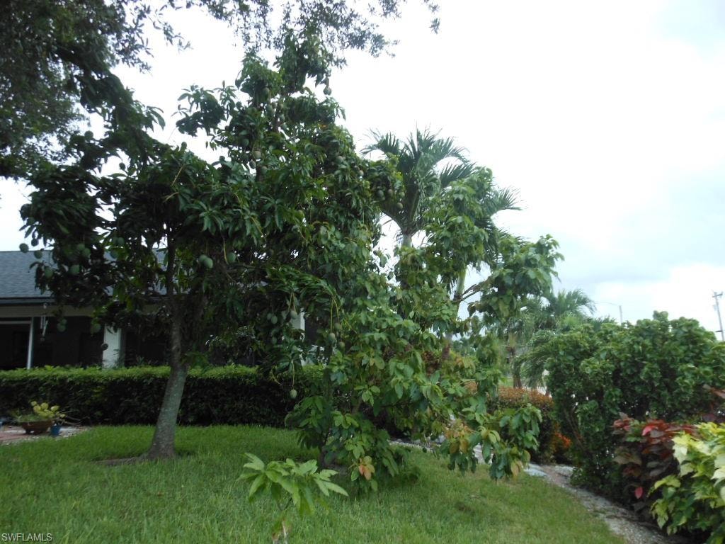 1236 Everest PKWY photo 42