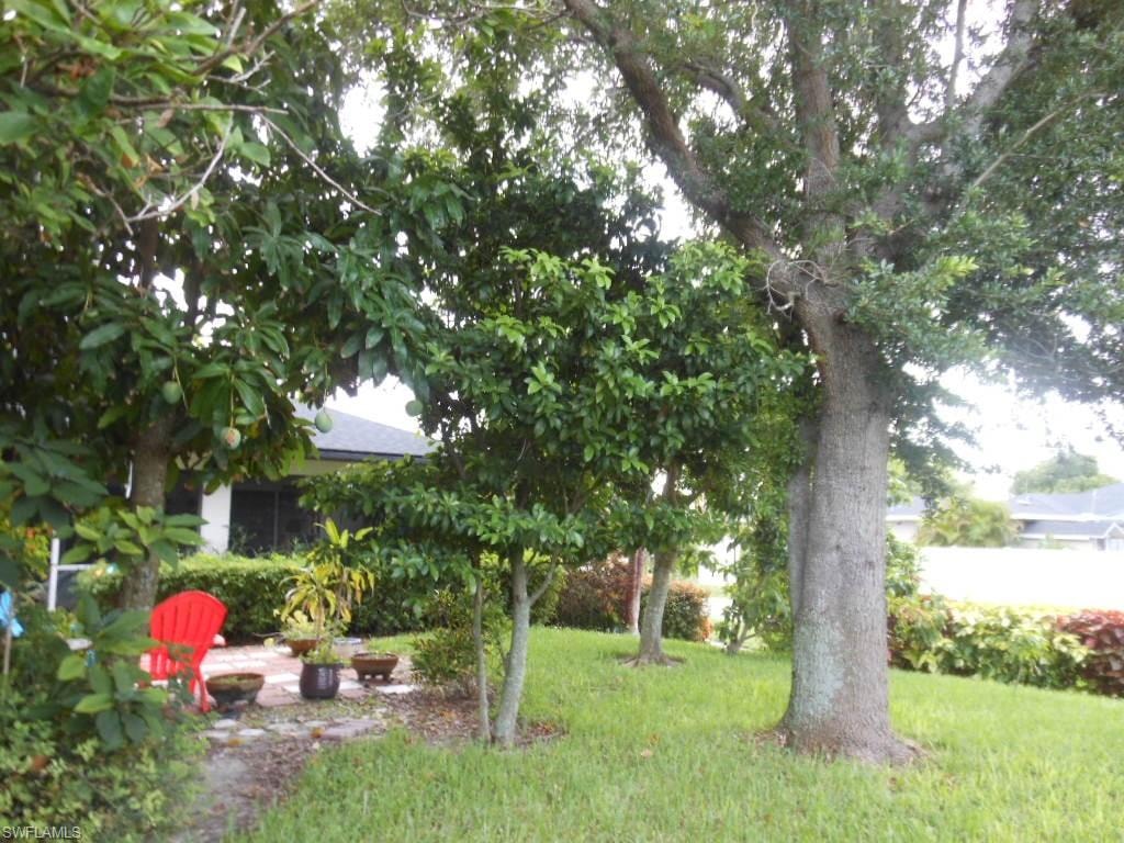 1236 Everest PKWY photo 47