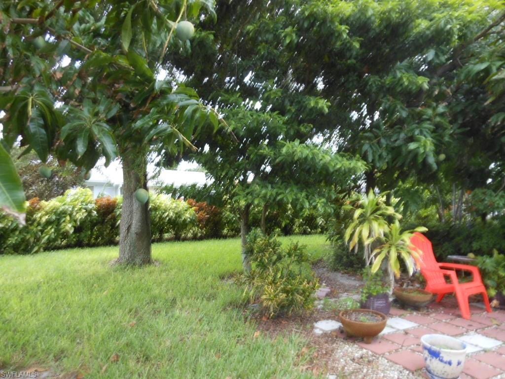 1236 Everest PKWY photo 43