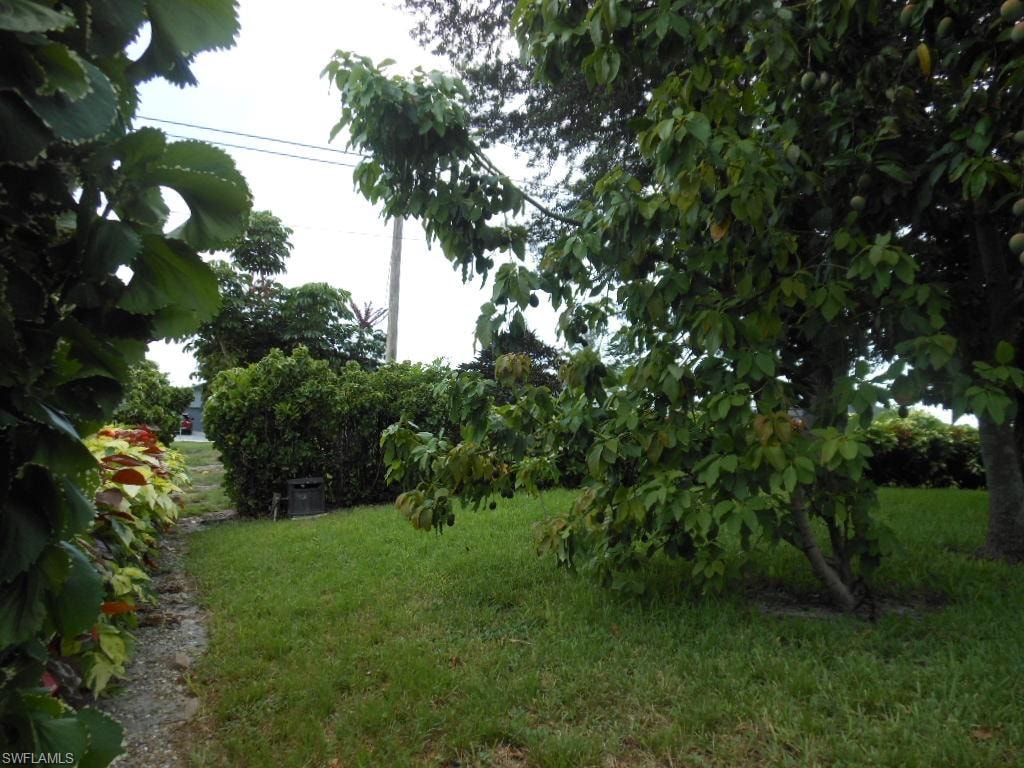 1236 Everest PKWY photo 41