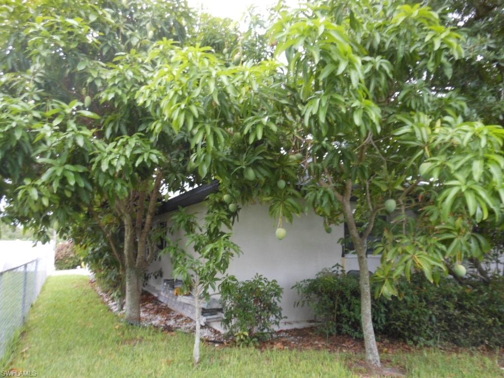 1236 Everest PKWY photo 45