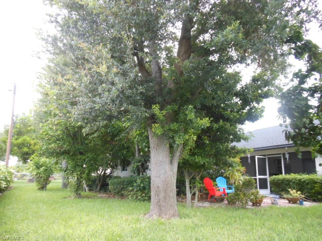 1236 Everest PKWY photo 44