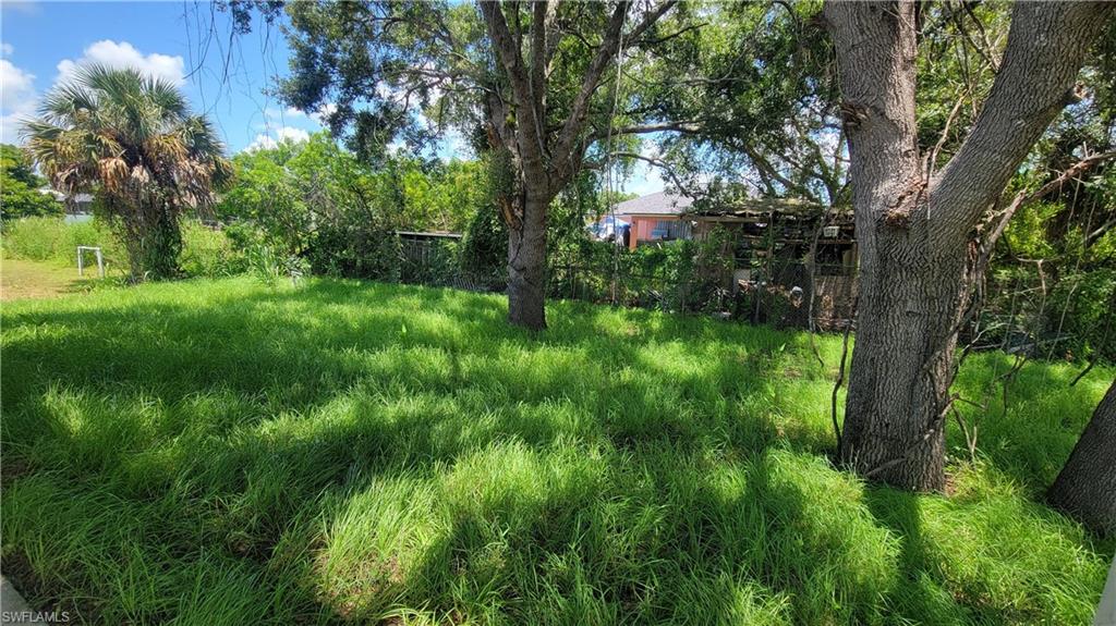 Spacious lot featuring mature trees and lush green ground cover