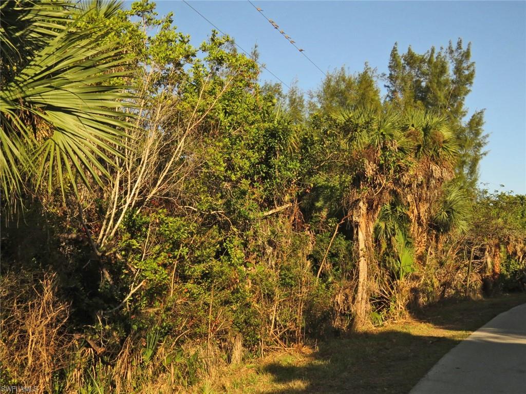 Heavily Wooded with Native Plants
