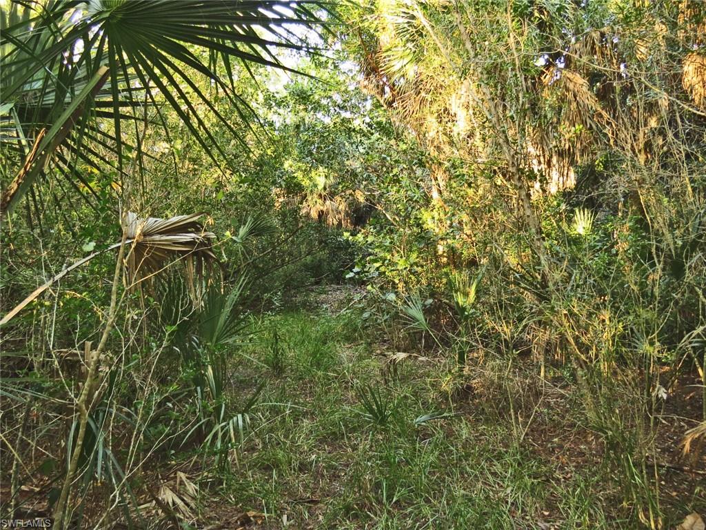 Path into Lot Next to Sign