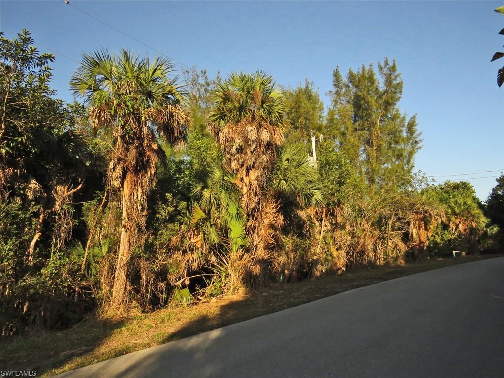 View of Parcel from Dinkins Rd.