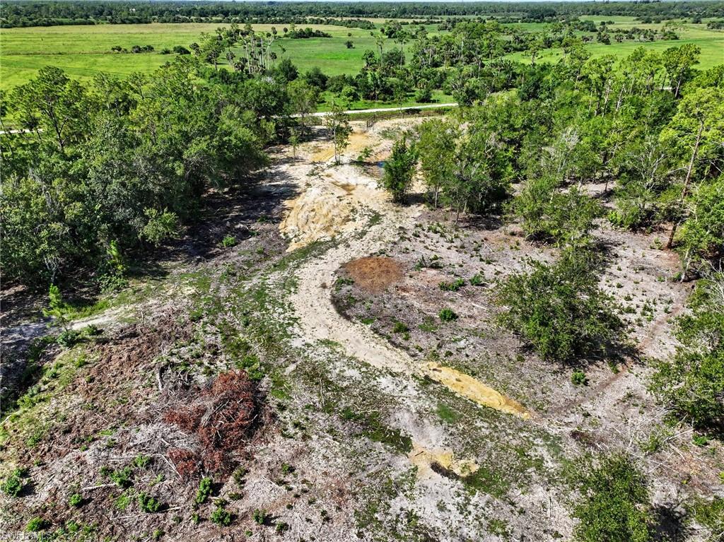 Cleared land featuring natural ground cover, scattered trees, and visible earthworks