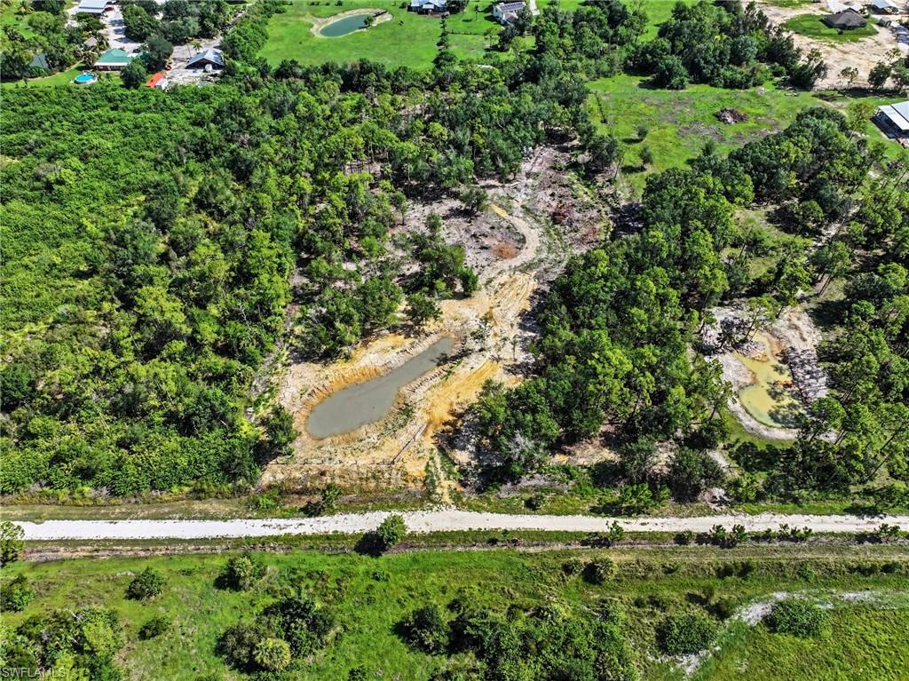 Expansive wooded acreage featuring natural ponds and a cleared pathway