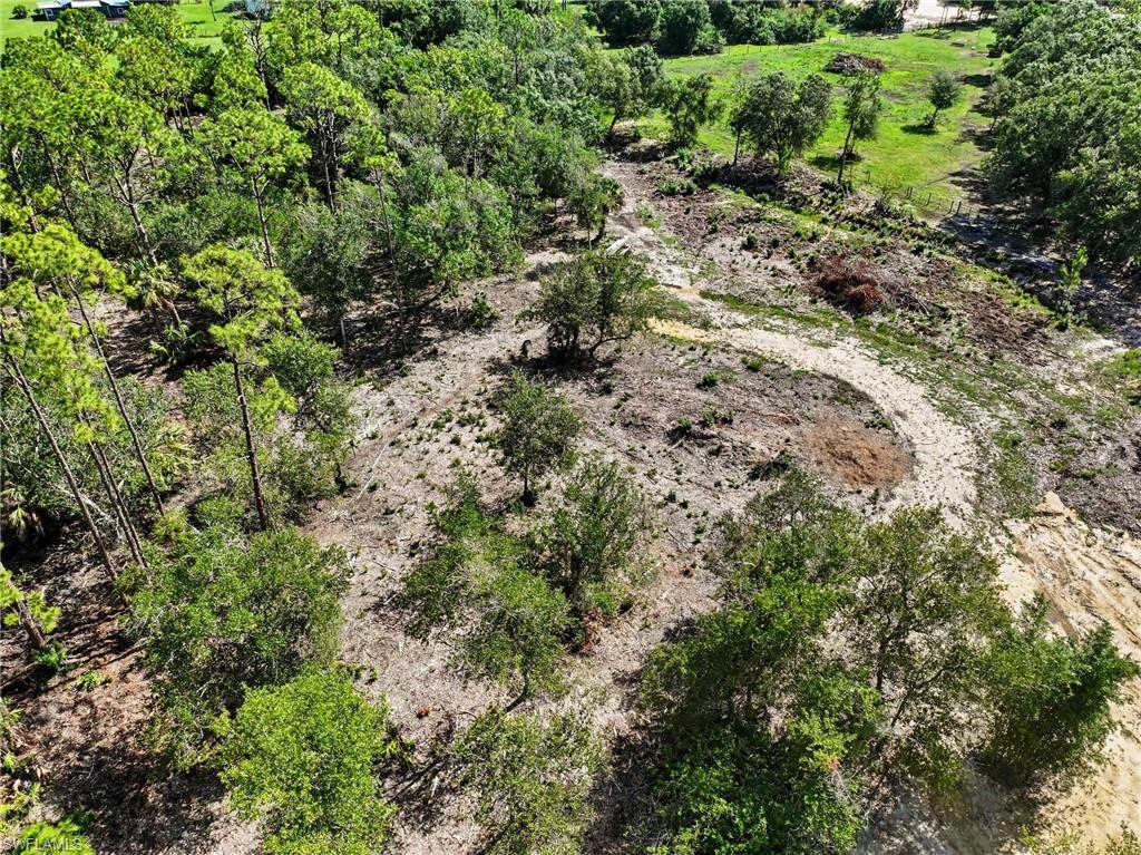 Expansive land parcel featuring partial clearing, verdant tree coverage, and a circular graded area