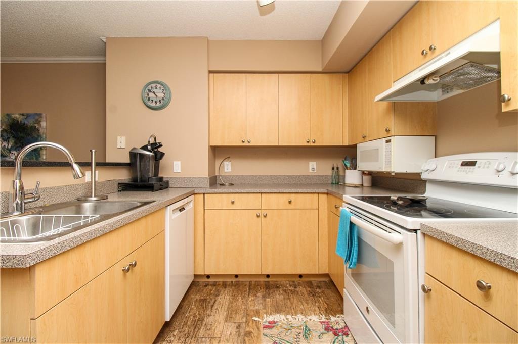 8659 River Homes LN 1108 photo 10