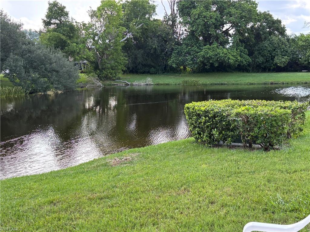 Lakeside property featuring a manicured lawn, lush green landscaping, mature trees, and natural water features