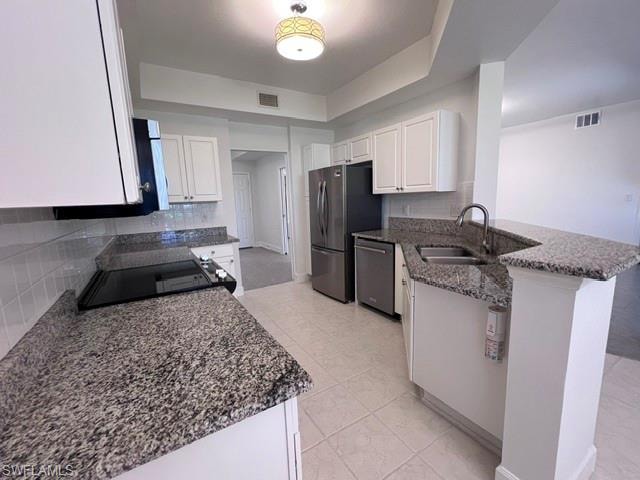 15151 Royal Windsor LN 2202 photo 9