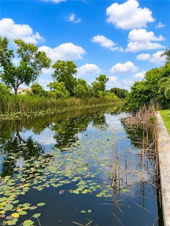 Waterfront setting featuring a concrete embankment, mature trees, and aquatic vegetation