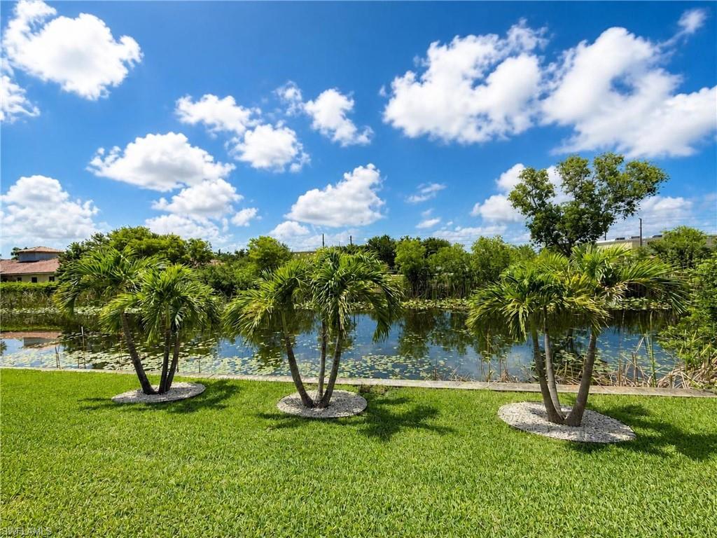 Lush green lawn with three palm trees featuring white stone beds, bordering a serene body of water with aquatic vegetation