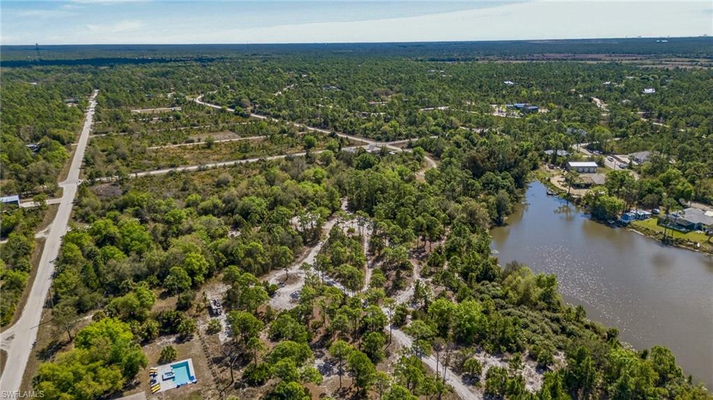 Bird's eye view of a forest and a large body of water