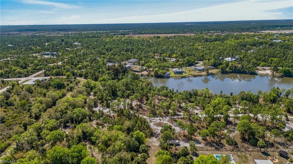 Bird's eye view of a forest and a nearby body of water