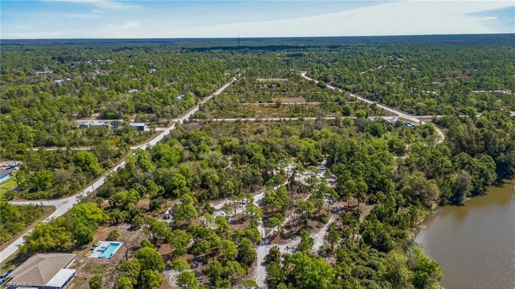 Aerial view of a forest and a large body of water