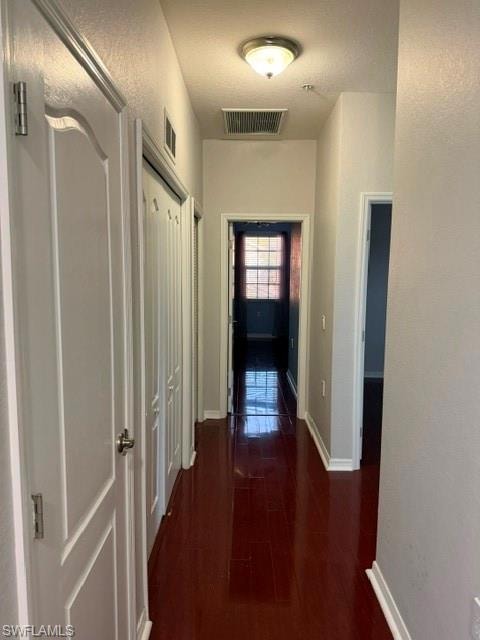 4361 Lazio WAY 901 photo 16