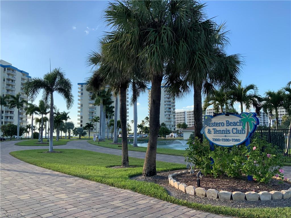 Drive way entrance , palm tree lined