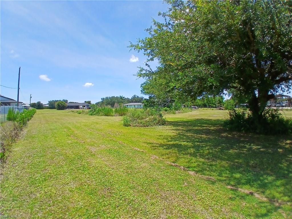 Expansive green lawn with a large mature tree providing natural shade. View from the back of the property towards the front.
