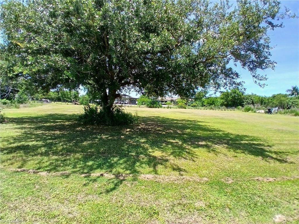 Expansive green space featuring a large, mature tree providing natural shade