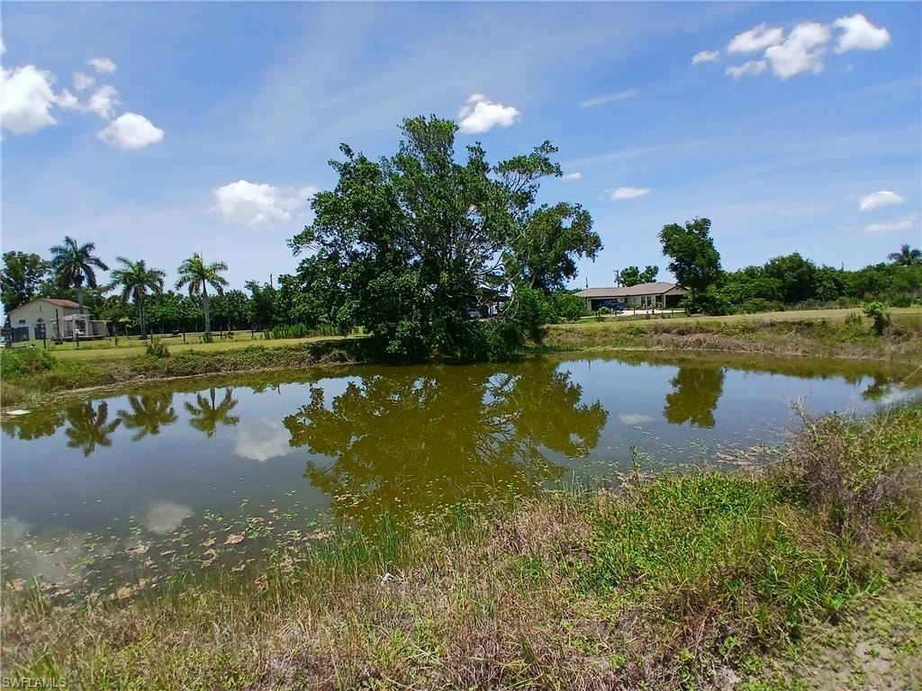 Expansive pond feature with natural landscaping