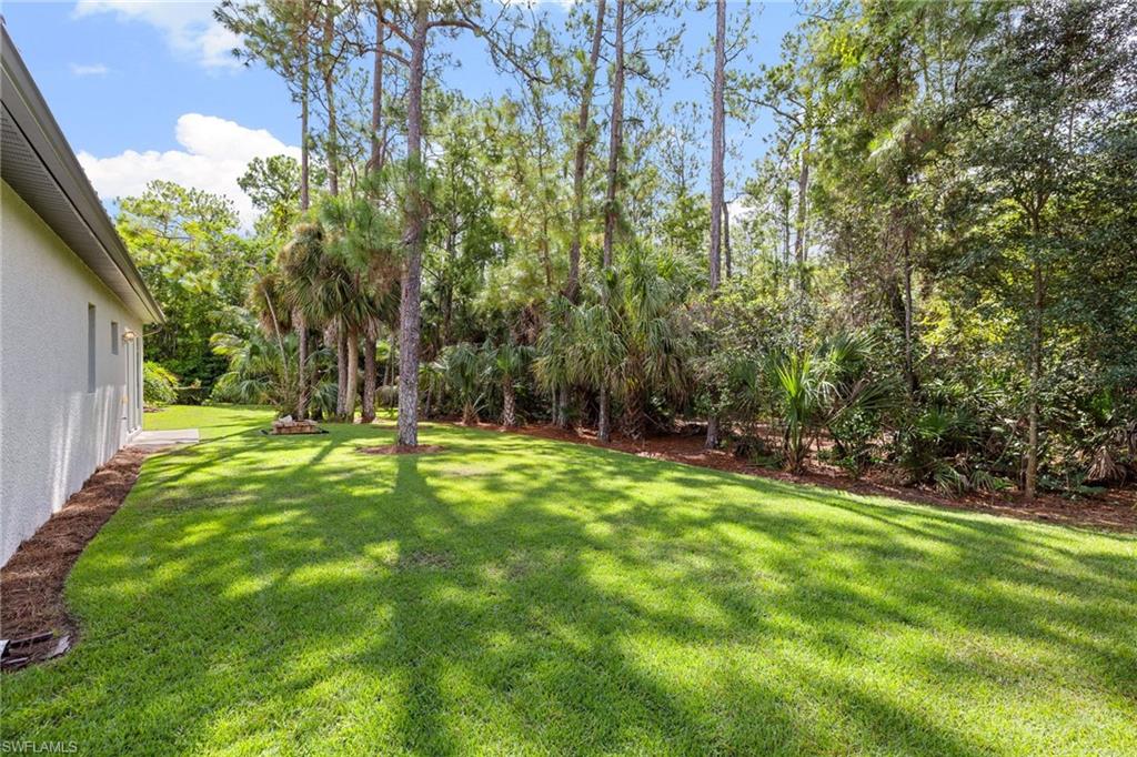 9798 Rocky Bank DR photo 39