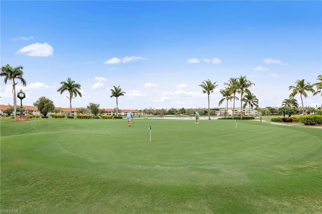 Expansive green with multiple putting cups, bordered by mature palm trees and landscaping