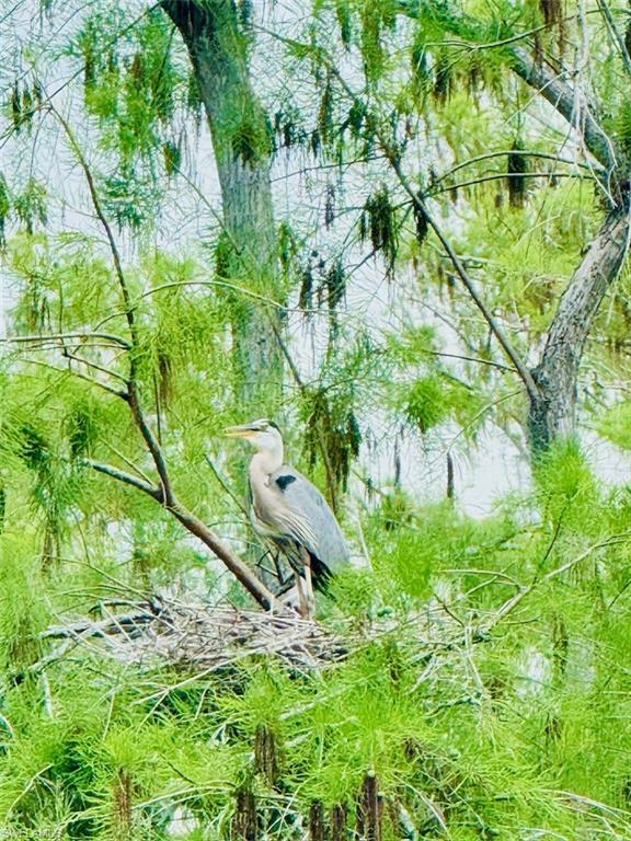 Audubon bird sanctuary
