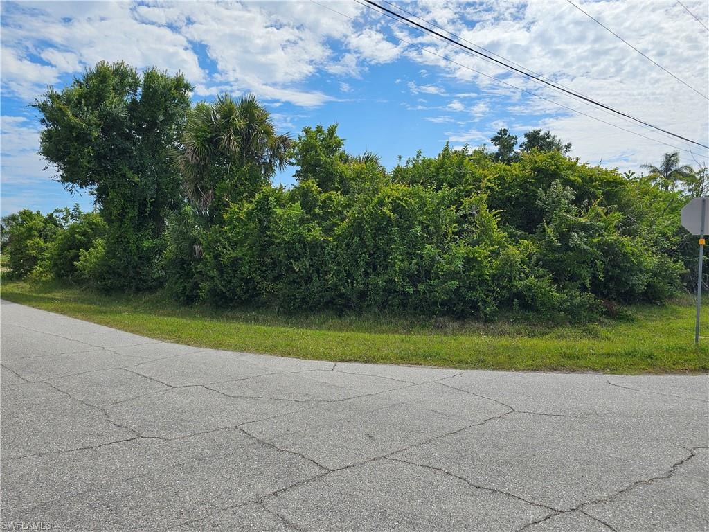 Corner lot featuring mature trees and lush vegetation