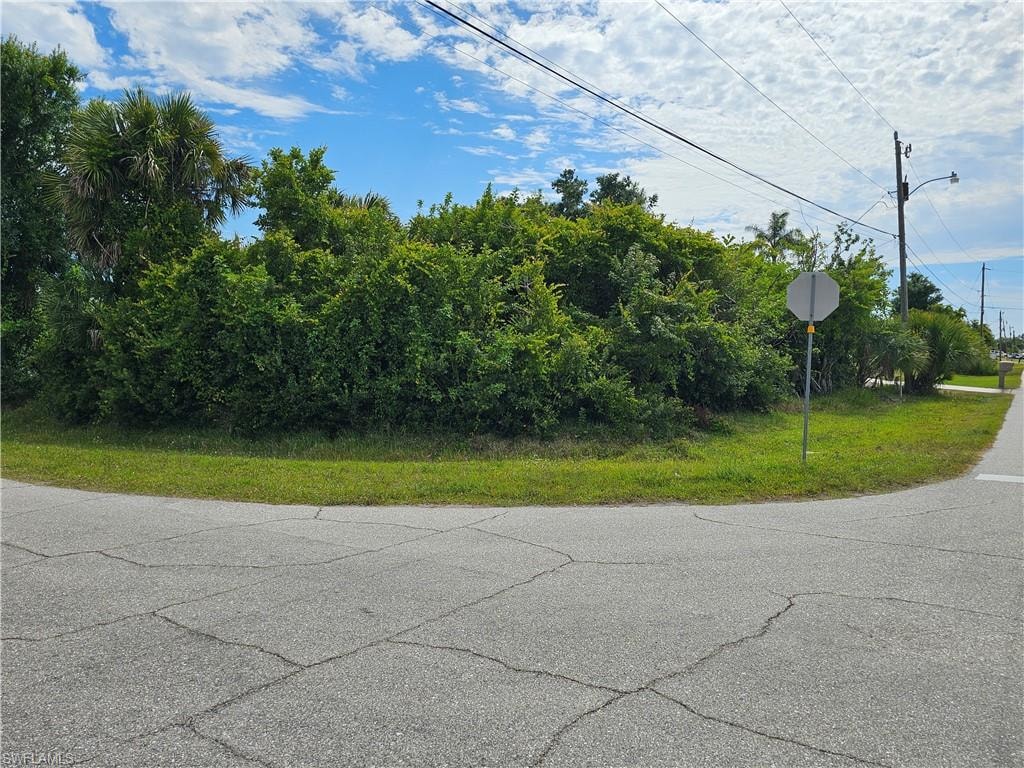 Corner lot featuring mature tropical foliage and green grass