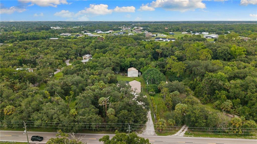 Expansive treed parcel featuring two structures and a paved road frontage