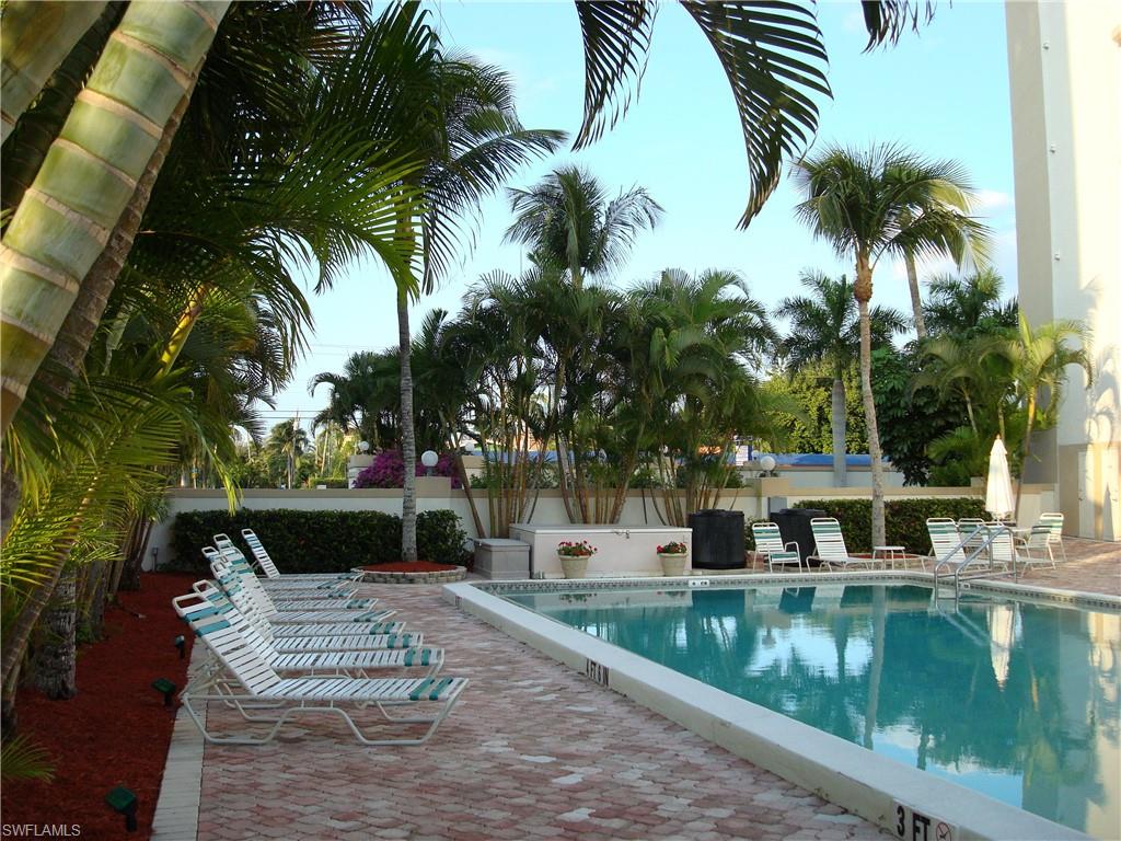 Pool area featuring a red brick paver deck, lush palm trees, a white concrete pool coping, and structured landscaping