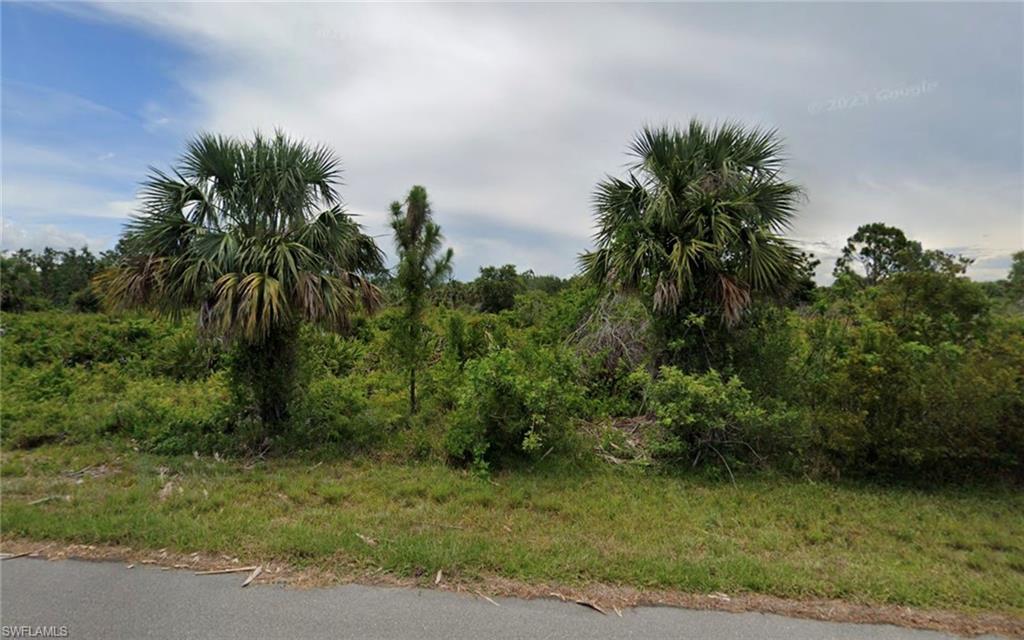 View of local wilderness