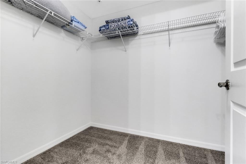 Spacious closet featuring dark colored carpet